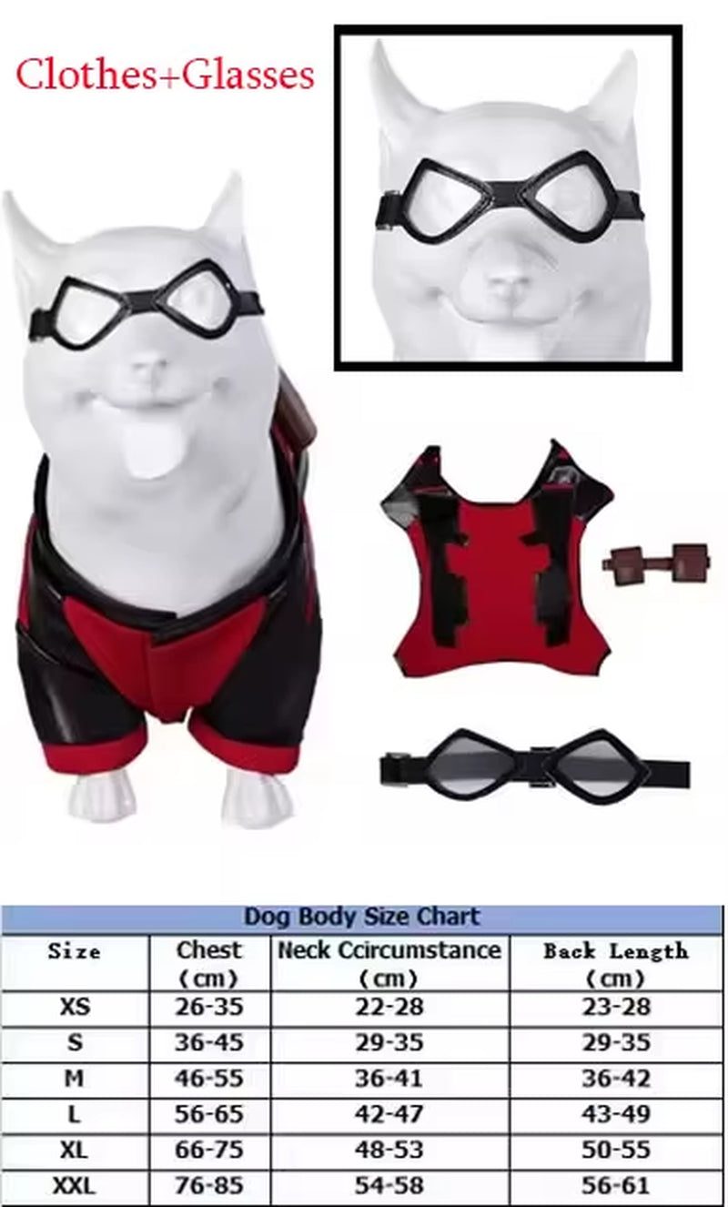 Pet Dog Pool Costume Dead Cosplay Pool Dogs Red Clothes Goggles for Small Large Puppy Halloween Disguise Clothing Glasses Badge