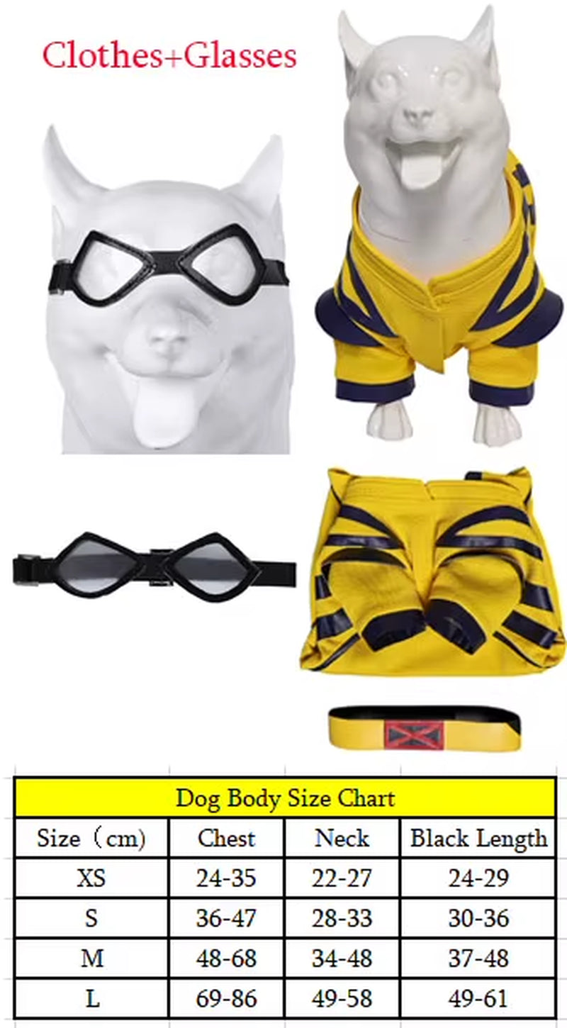 Pet Dog Pool Costume Dead Cosplay Pool Dogs Red Clothes Goggles for Small Large Puppy Halloween Disguise Clothing Glasses Badge